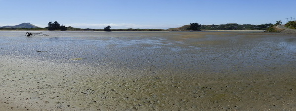 view of the estuary at Karitane from the studio deck at low tide 